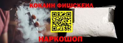 стафф Гай