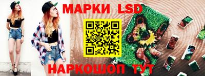 стафф Гай