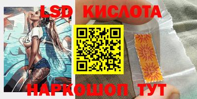 стафф Гай