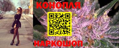 мяу мяу мука Гатчина